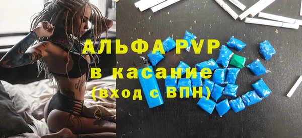 PSILOCYBIN Осинники