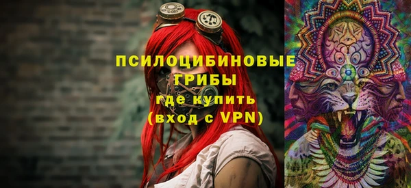 дмт Елабуга