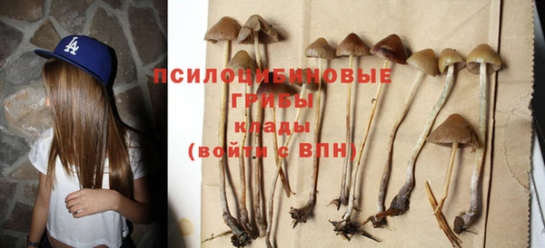 PSILOCYBIN Осинники