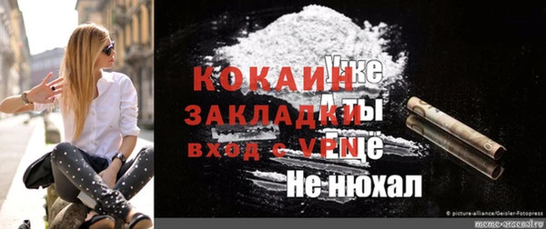 PSILOCYBIN Осинники