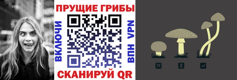 Галлюциногенные грибы Magic Shrooms  Кировград 